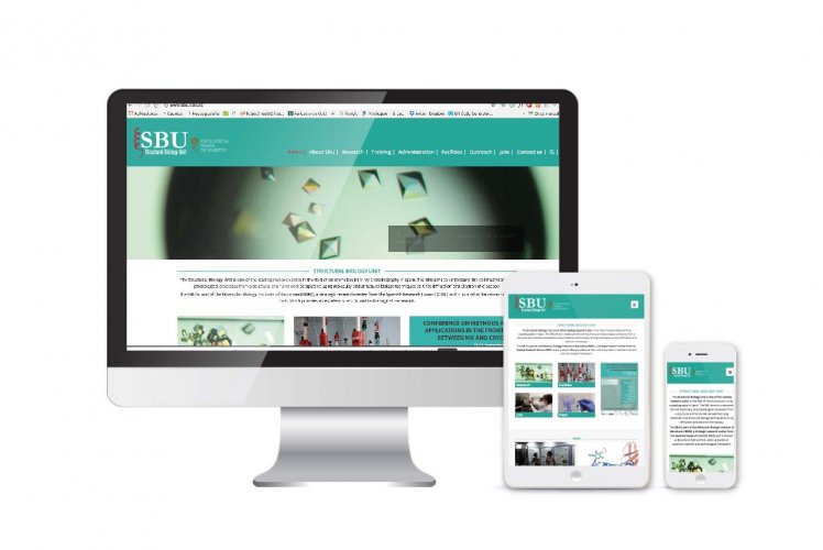 Diseño, desarrollo y posicionamiento SEO web SBU